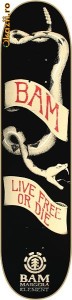 Skateboard Element Bam Banner foto