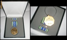 USA - For Military Achievement foto
