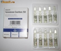 Testosteron Enantat  Iran 250mg/ml foto