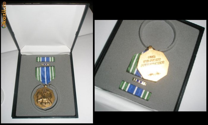 USA - For Military Achievement foto mare
