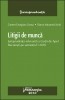 Litigii de munc? Jurispruden?a relevant? a Cur?ii de Apel Bucure?ti pe semestrul I 2010 - 114899 foto mare
